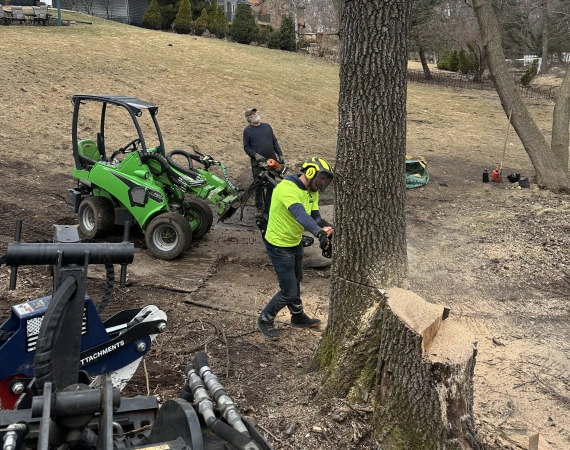Emergency Tree Service 1