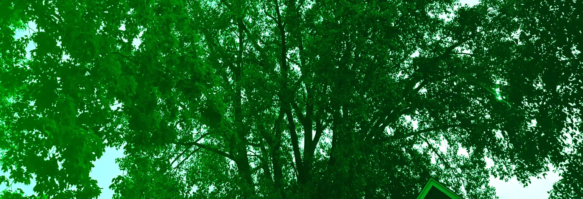 about us breadcrumb hero 1