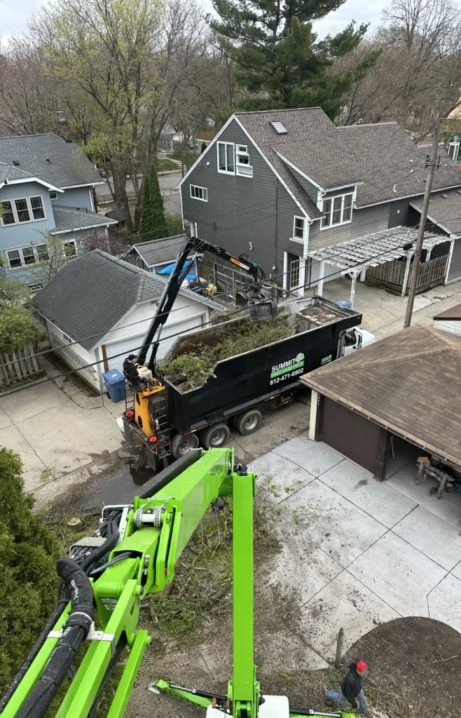 tree removal truck