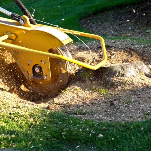 Stump Grinding