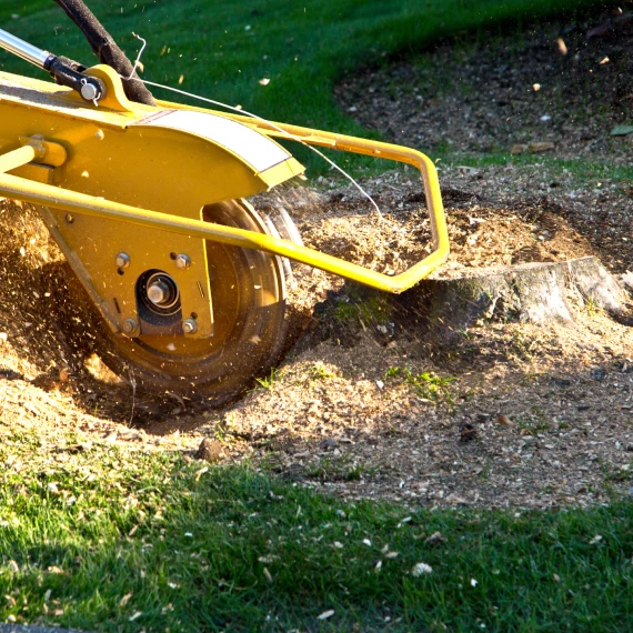 Stump Grinding