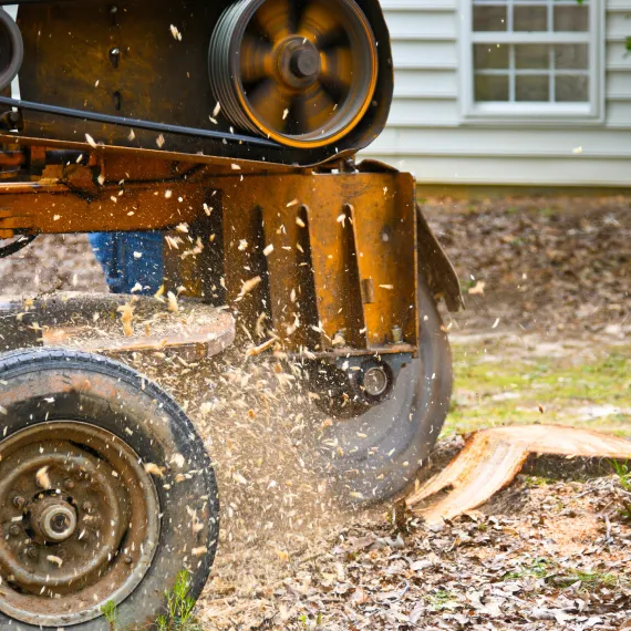 Stump Removal Services