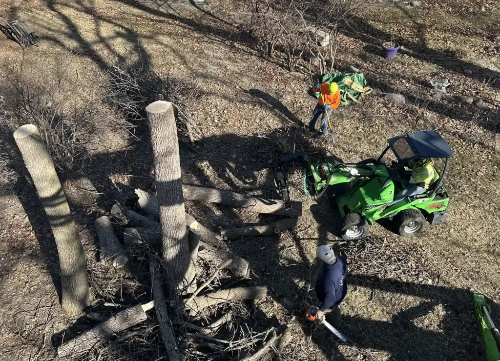 Man in safety gear next to a large tree trunk after branches have been removed, in a backyard.