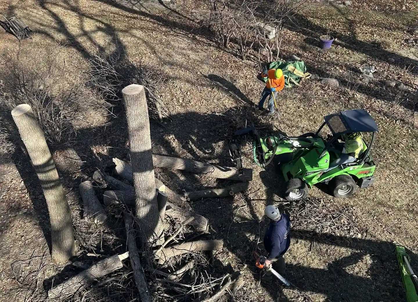 Man in safety gear next to a large tree trunk after branches have been removed, in a backyard.